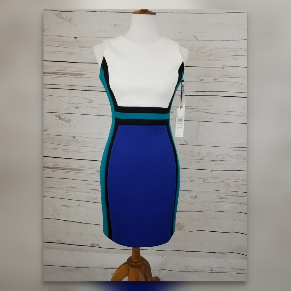 Calvin Klein dress size 4P